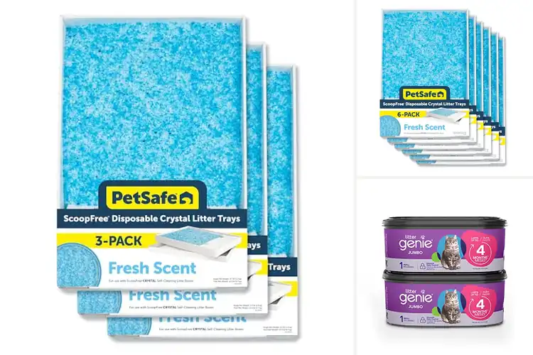 Detailed view of Best Cat Litter Refills