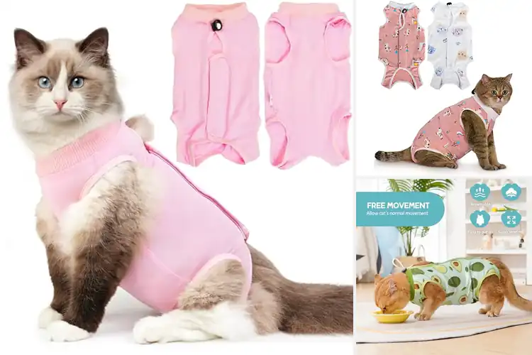 Detailed view of Best Cat Onesies: Top 10 Picks for Stress-Free Recovery