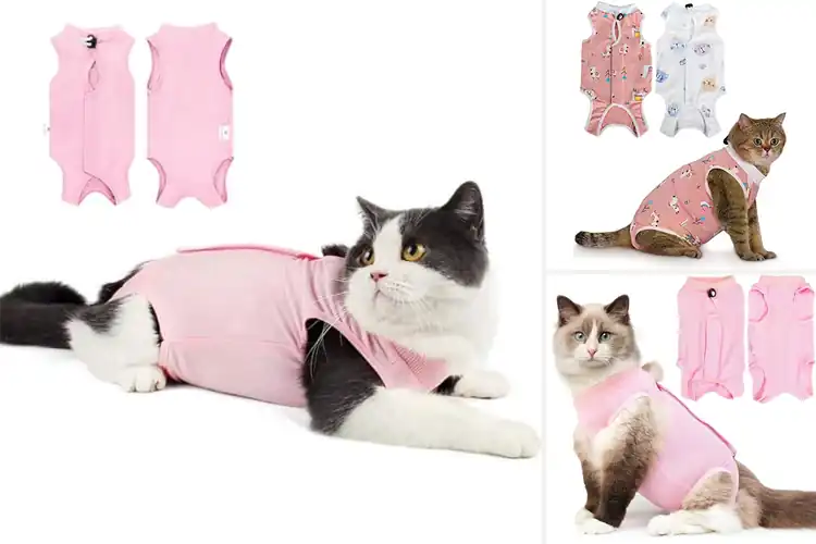 Detailed view of Best Cat Recovery Suits: Top 10 Picks for Comfort & Safety