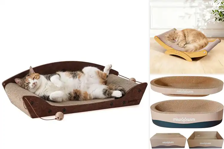 Detailed view of Best Cat Scratcher Bed And Scratcher