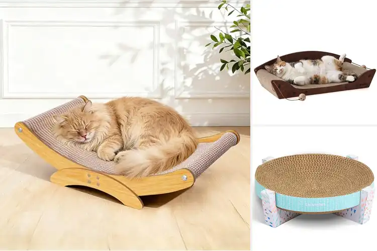 Detailed view of Best Cat Scratcher Bed For Indoor Cats