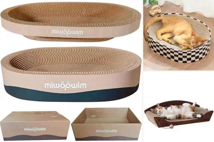 Detailed view of Best Cat Scratcher Bed: Save Furniture & Keep Your Cat Happy