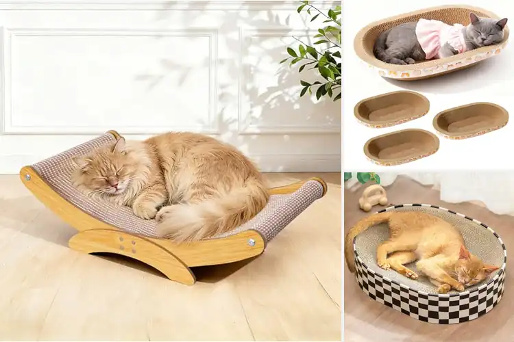 Detailed view of Best Cat Scratcher Beds