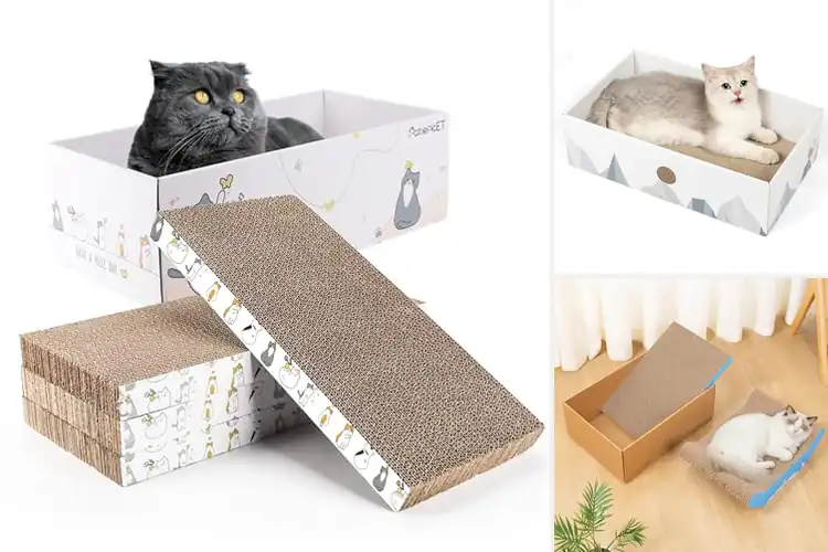 Detailed view of Best Cat Scratcher Box For Cats