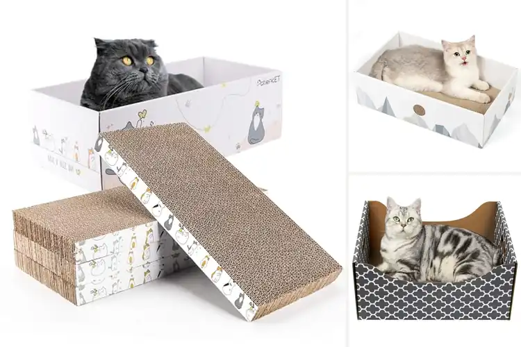 Detailed view of Best Cat Scratcher Box For Indoor Cats