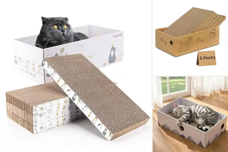 Detailed view of Best Cat Scratcher Boxes