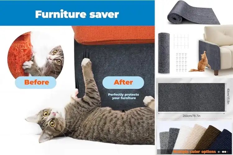 Detailed view of Best Cat Scratcher for Claw Protection