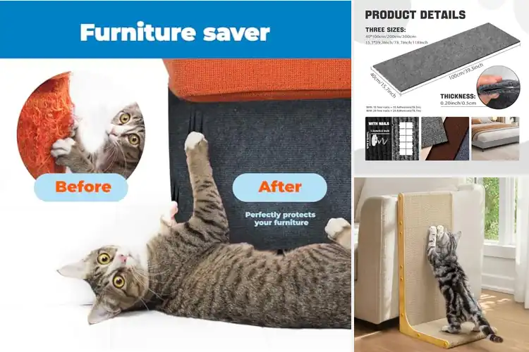 Detailed view of Best Cat Scratcher to Protect Furniture