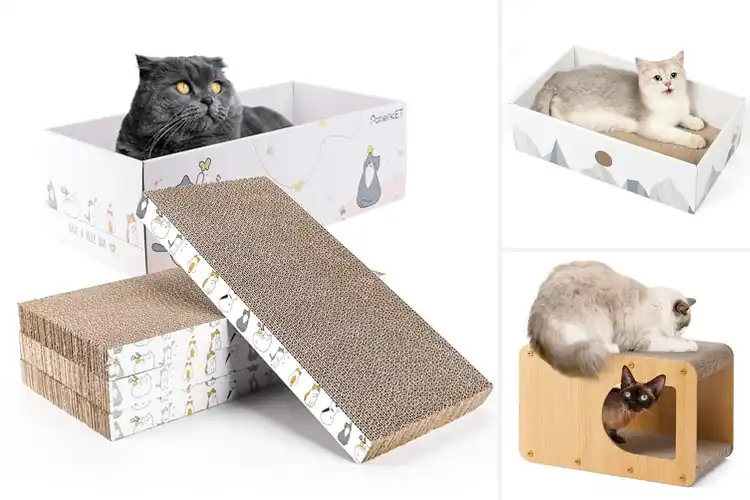 Detailed view of Best Cat Scratching Box: Top 10 Picks to Save Your Furniture