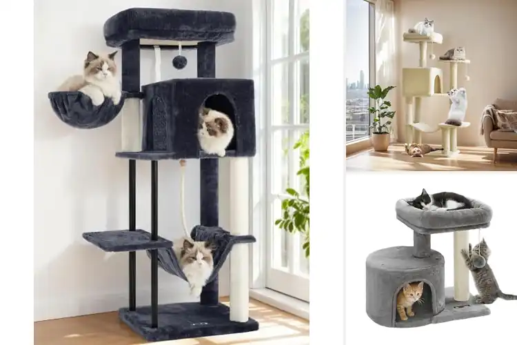 Detailed view of Best Cat Scratching Posts with Condos