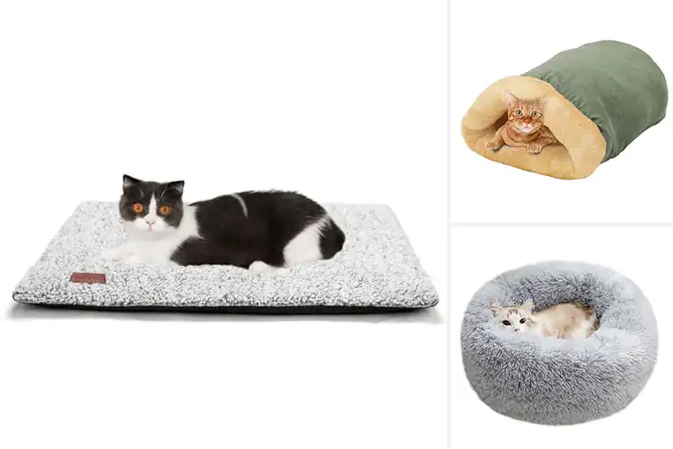 Detailed view of Best Cat Sleeping Beds: 10 Cozy Picks for Happy Felines