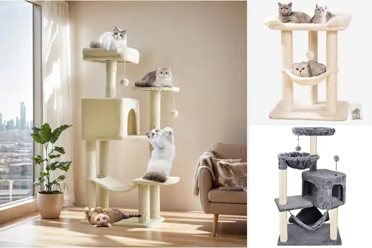 Detailed view of Best Cat Towers with Hammocks