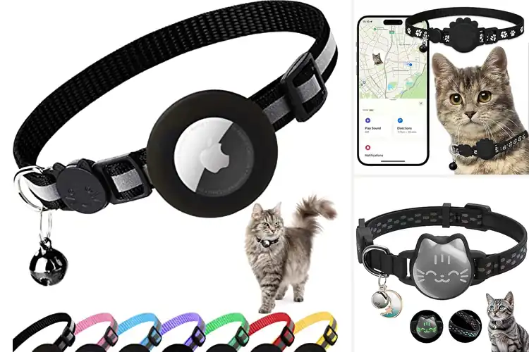 Detailed view of Best Cat Tracker Collars: Keep Your Cat Safe & Found Easily