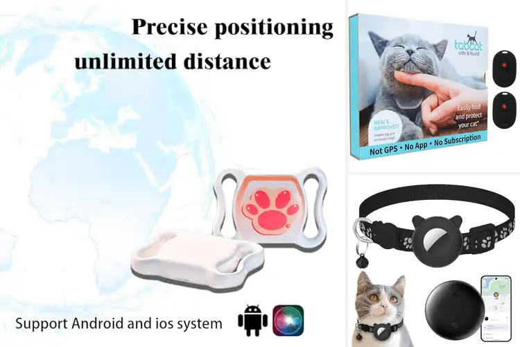 Detailed view of Best Cat Tracker With No Monthly Fee
