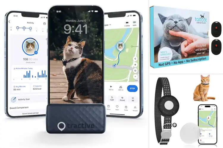 Detailed view of Best Cat Trackers: Top 10 Picks for Peace of Mind & Safety