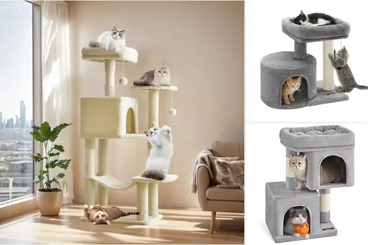Detailed view of Best Cat Trees for Small Cats: 10 Cozy & Fun Picks