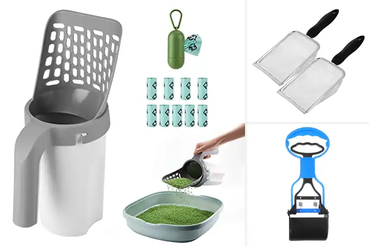 Detailed view of Best Cat Waste Management Tools