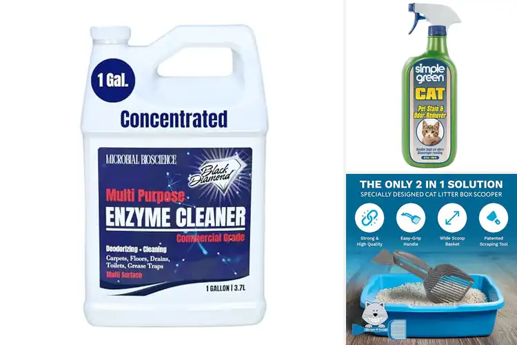 Detailed view of Best Cat Waste Removers: 9 Top Picks for a Fresh, Clean Home