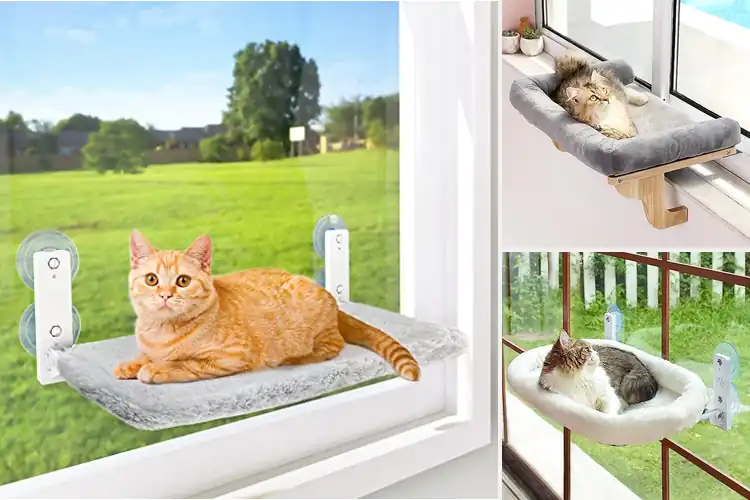Detailed view of Best Cat Window Perches