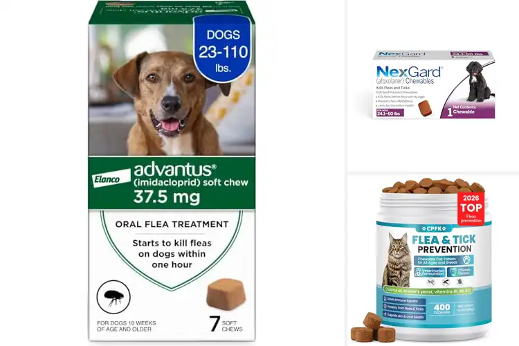 Detailed view of Best Chewable Flea Medications