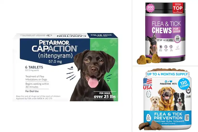 Detailed view of Best Chewable Flea Treatments For Dogs