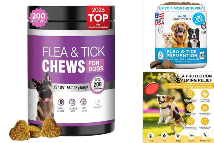 Detailed view of Best Chewable Tick Treatments For Dogs