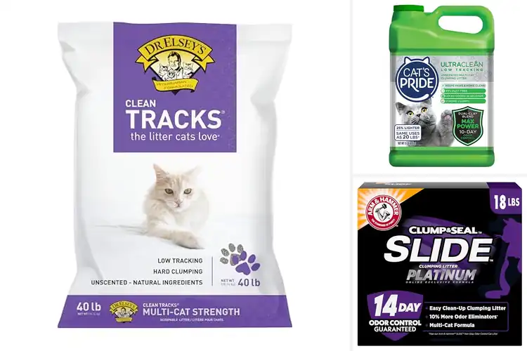 Detailed view of Best Clean Litter Retention: Top 10 Picks for a Fresh Home