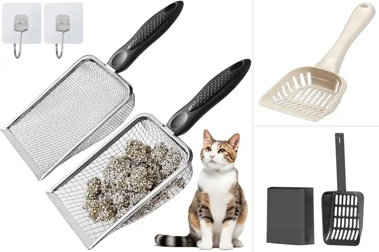 Detailed view of Best Clean Litter Retention Scoops