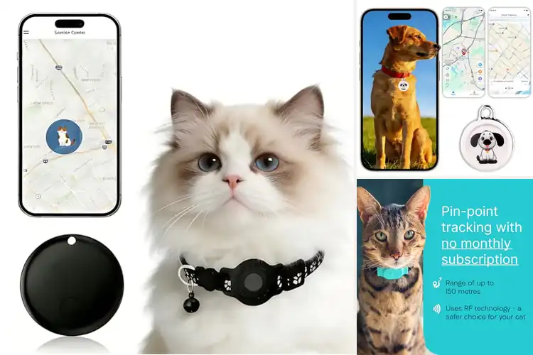 Detailed view of Best Comfortable Cat Trackers