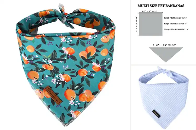 Detailed view of Best Comfortable Dog Bandanas: Stylish & Cozy Daily Wear