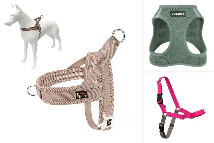 Detailed view of Best Comfortable Harnesses: 10 Top Picks for Happy Walks