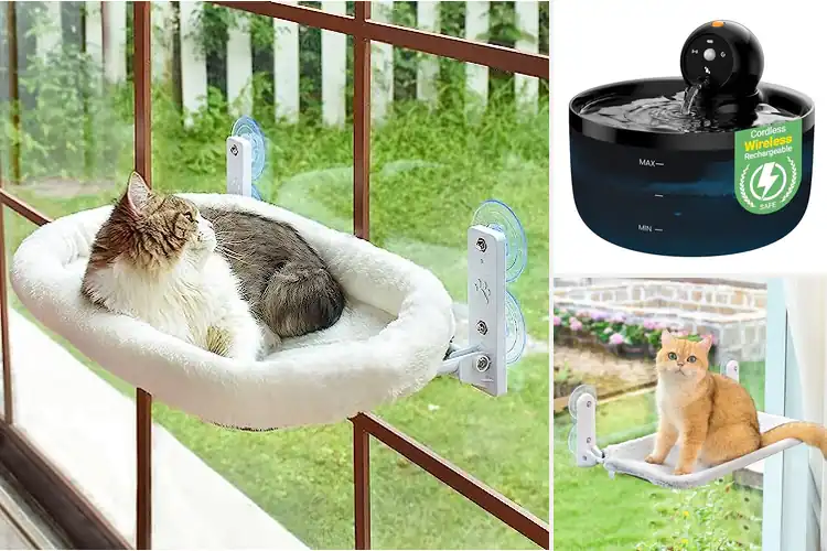 Detailed view of Best Cordless Cat Accessories