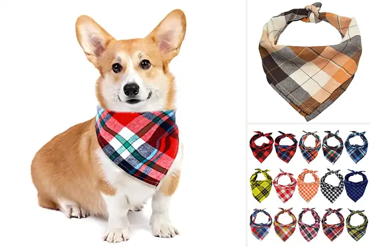 Detailed view of Best Cotton Dog Kerchiefs