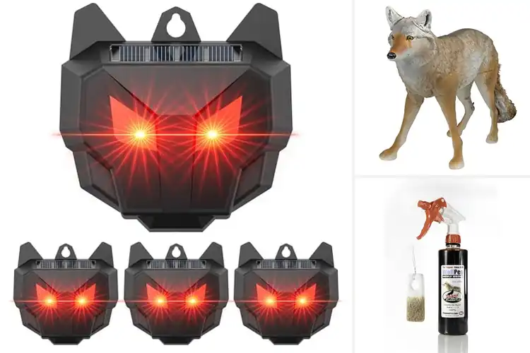 Detailed view of Best Coyote Deterrents