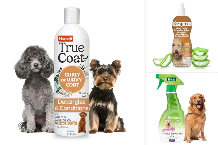 Detailed view of Best Curly Coat Detanglers