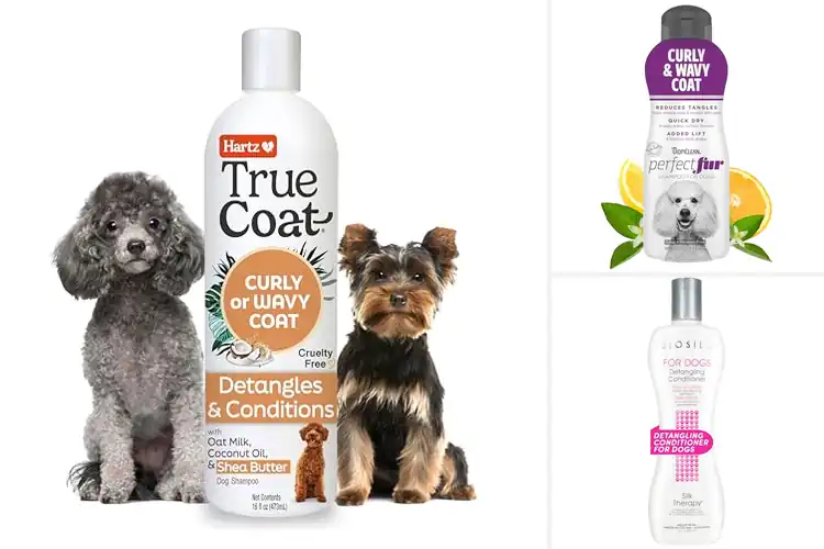 Detailed view of Best Curly Coat Dog Products