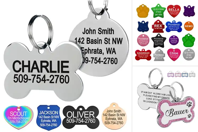 Detailed view of Best Custom Engraved Pet Tags