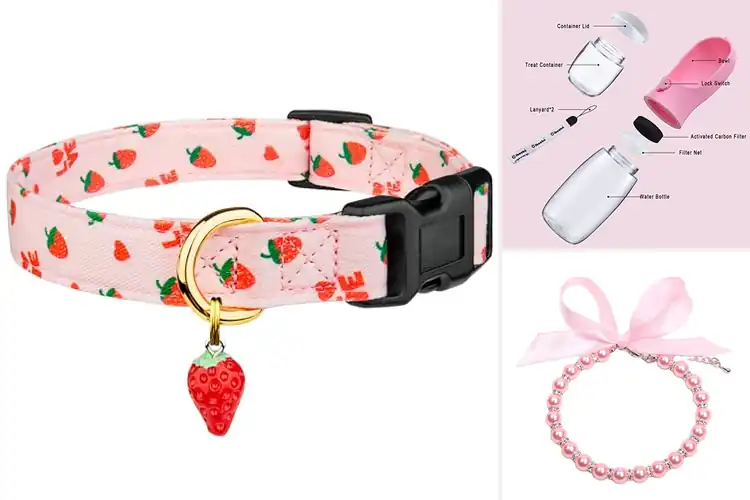 Detailed view of Best Cute Pet Accessories