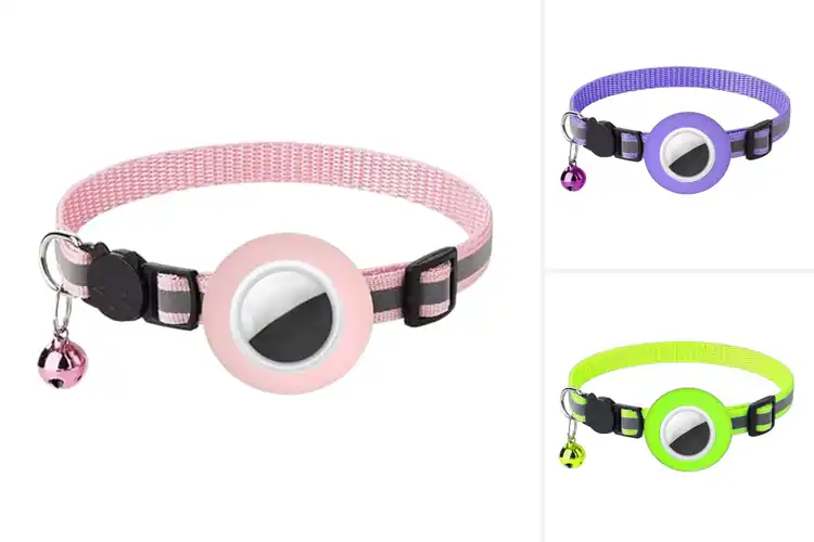 Detailed view of Best Detachable Buckle Cat Collar Trackers