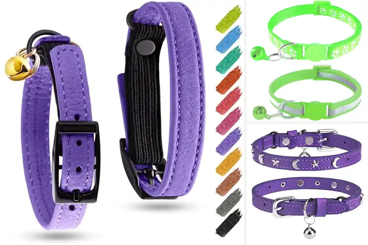 Detailed view of Best Detachable Buckle Cat Collars