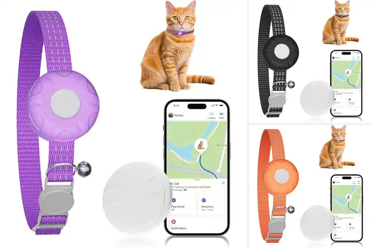 Detailed view of Best Detachable Buckle Cat Safety Trackers