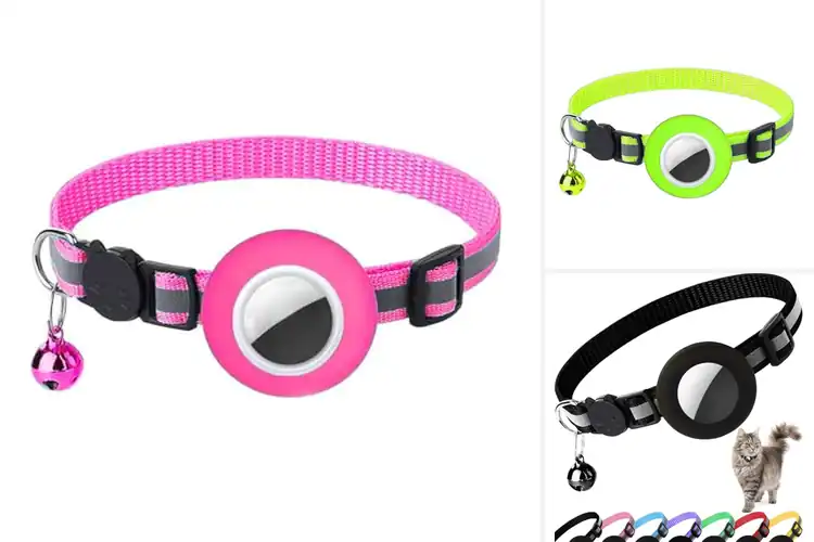 Detailed view of Best Detachable Buckle Cat Tracker Collars