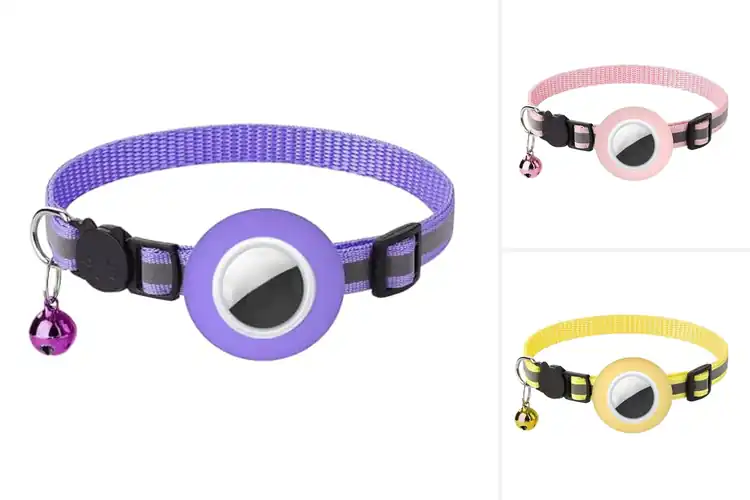 Detailed view of Best Detachable Buckle Cat Tracker For Safety