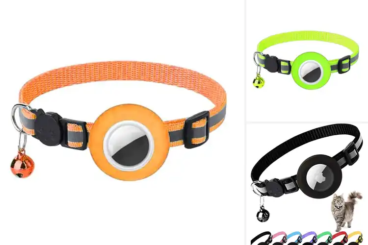 Detailed view of Best Detachable Buckle Cat Tracking Collars