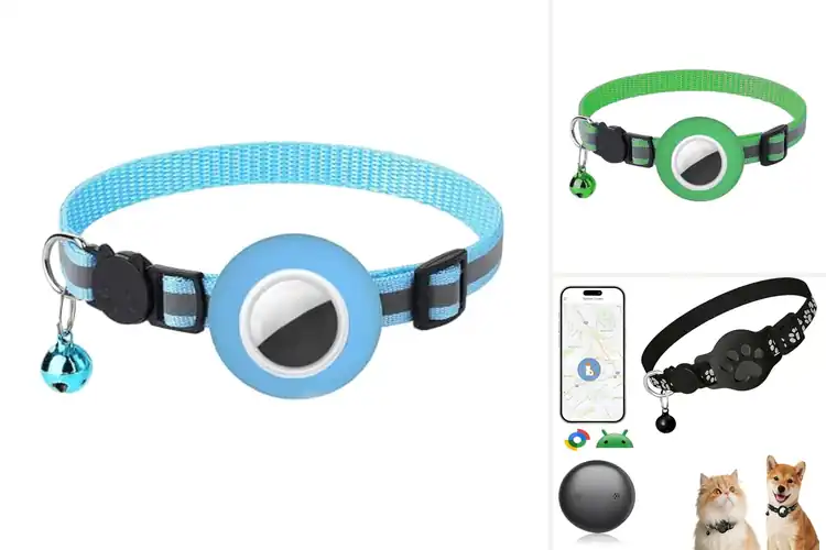 Detailed view of Best Detachable Buckle GPS Collars