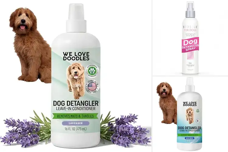 Detailed view of Best Detangler For Doodles