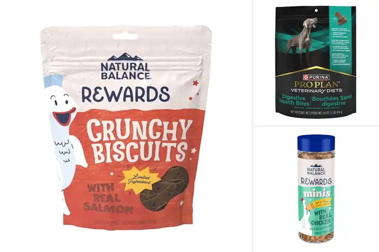 Detailed view of Best Digestive Balance Treats for Dogs