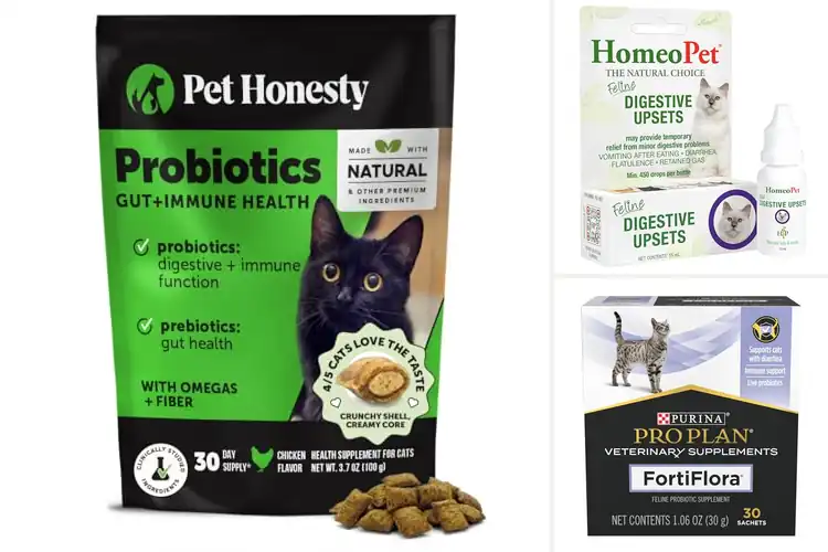 Detailed view of Best Digestive Supplements For Cats