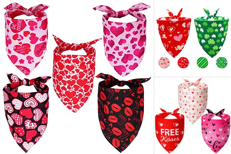 Detailed view of Best Dog Bandanas for Valentine