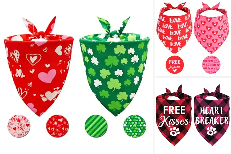 Detailed view of Best Dog Bandanas For Valentines